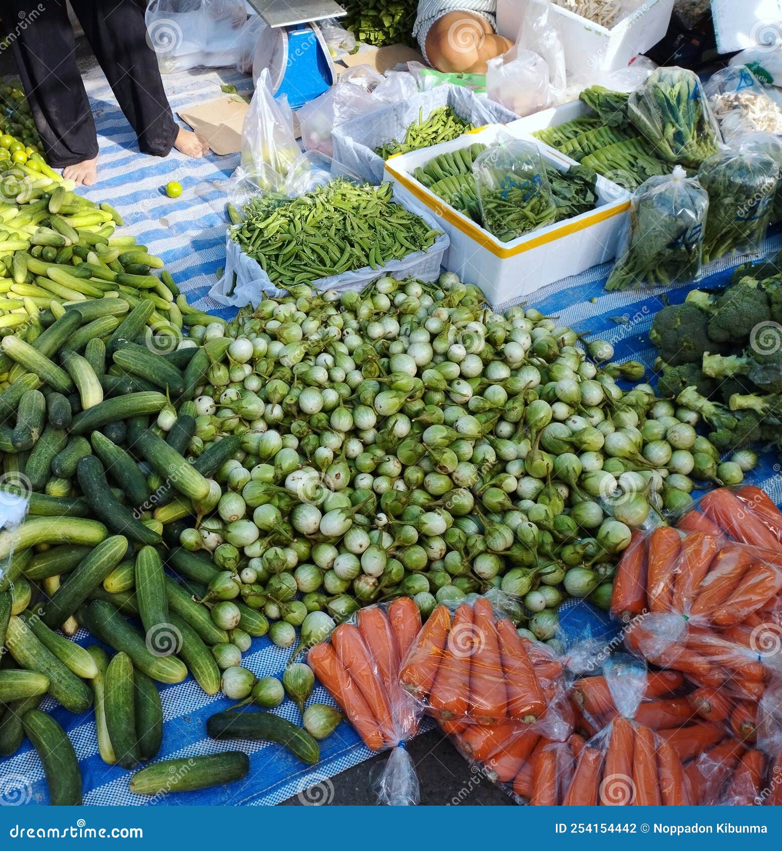 Various Fresh Vegetables on the Market Stock Photo Image of