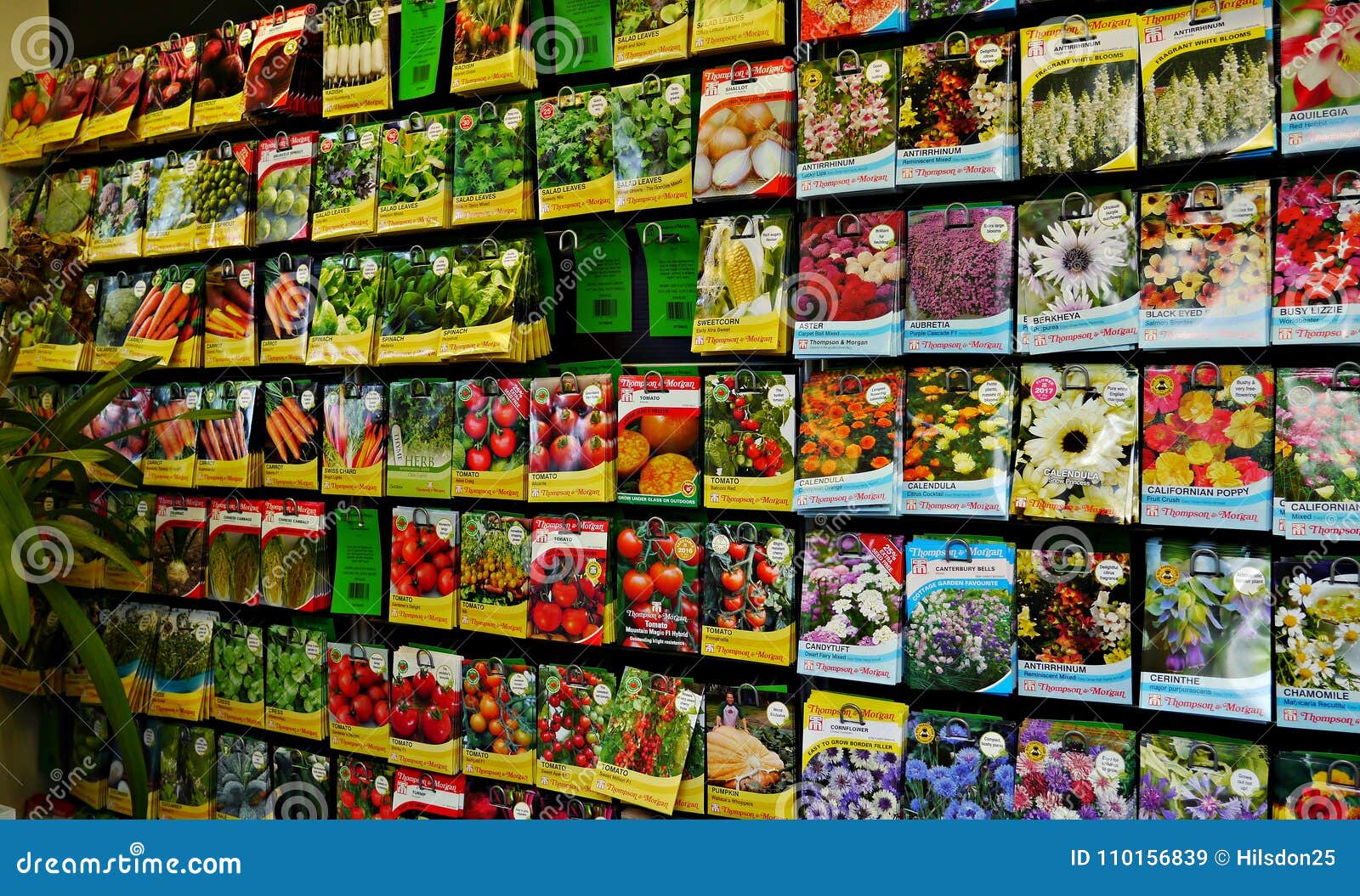 Vegetable And Flower Seeds