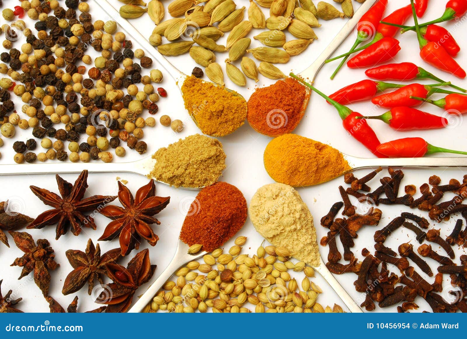 Various Ground and Whole Spice in Pattern Stock Photo Image of food