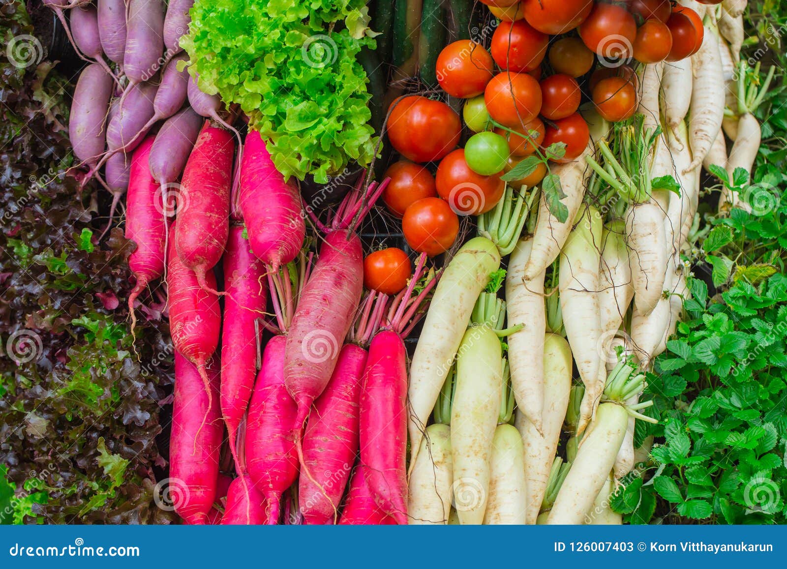 various healthy colourful vegetable for background