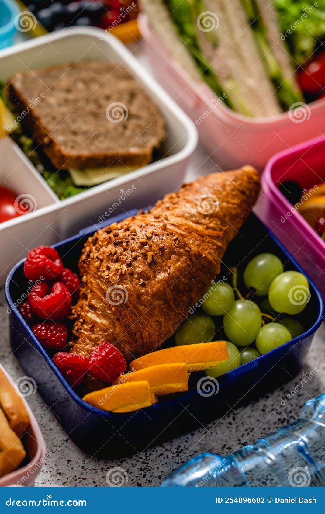 Various of Healthy Lunch Boxes. Pack for School Set in Plastic Package