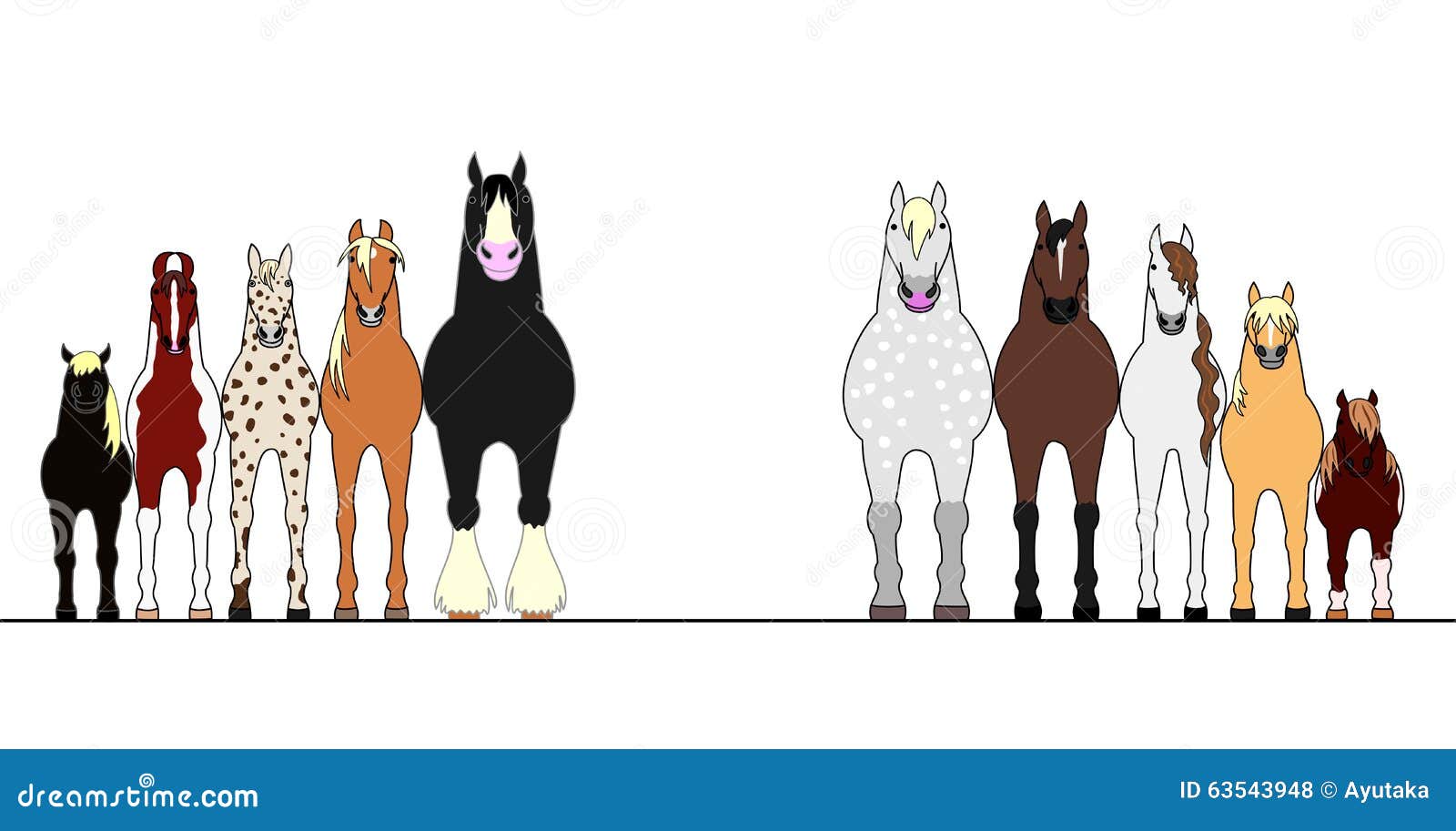 Various Horses Lining Up in Height Order Stock Vector Illustration of