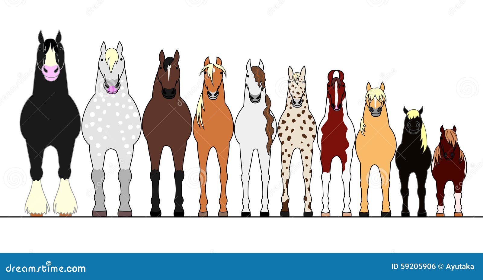 Various Horses Lining Up In Height Order Stock Vector Image 59205906