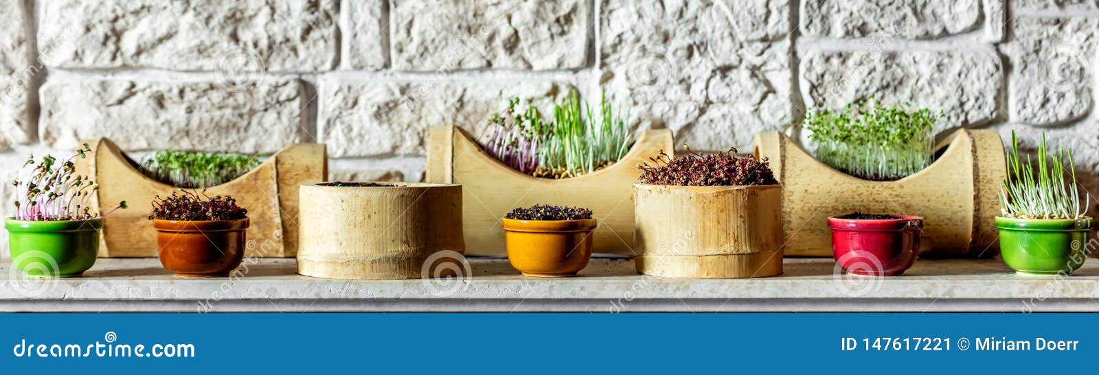 various microgreens in front of a brick wall