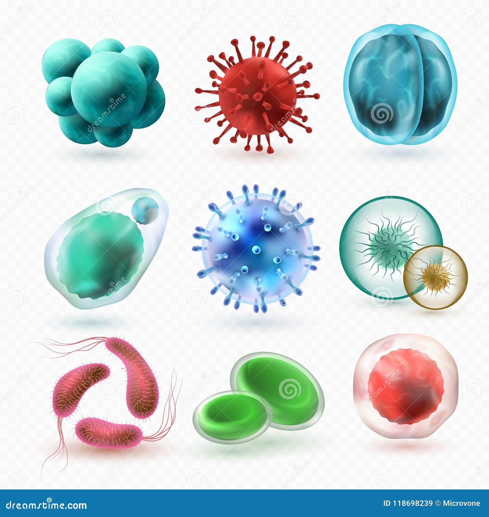 various microscopic 3d bacteria and viruses. microbiology  bacterium cells 