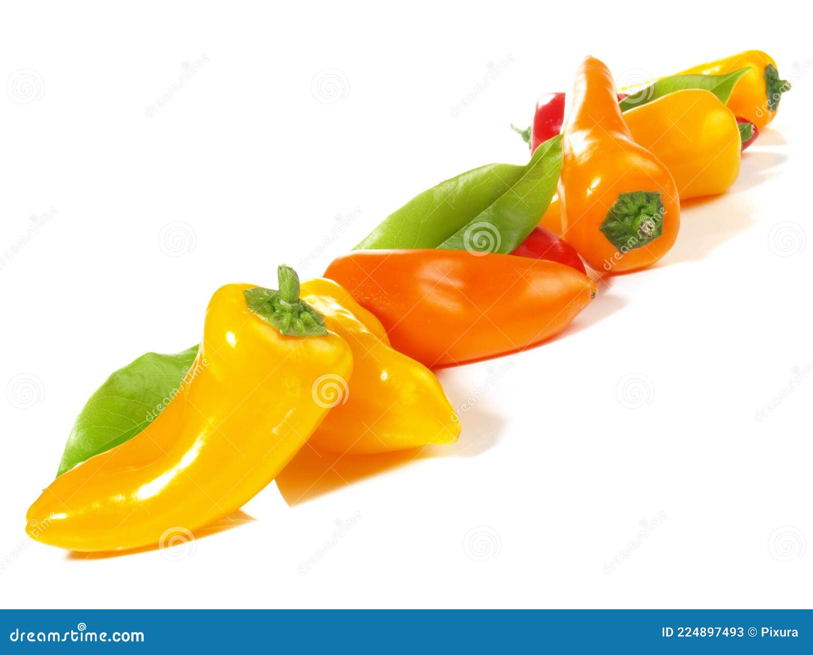 Various Mini Peppers on White Background Panorama Isolated Stock Image Image of isolation