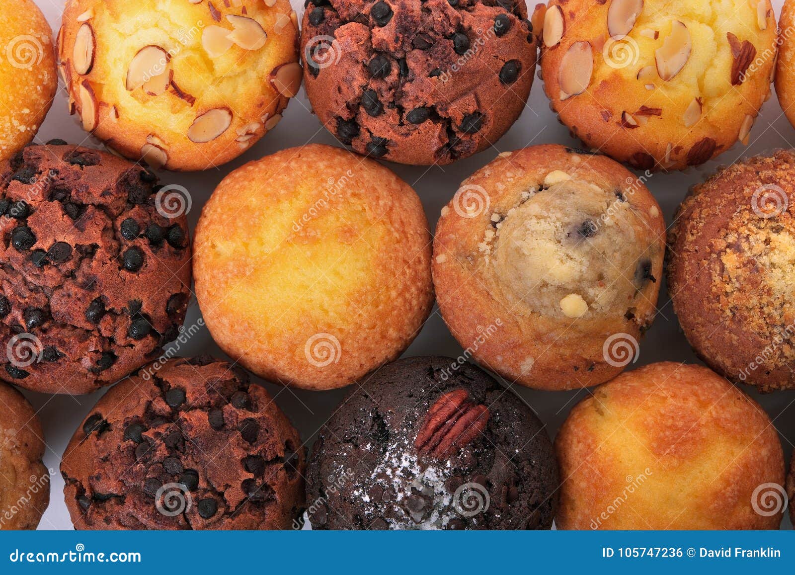 Various Muffin Cakes in a Row Top View Stock Photo Image of small