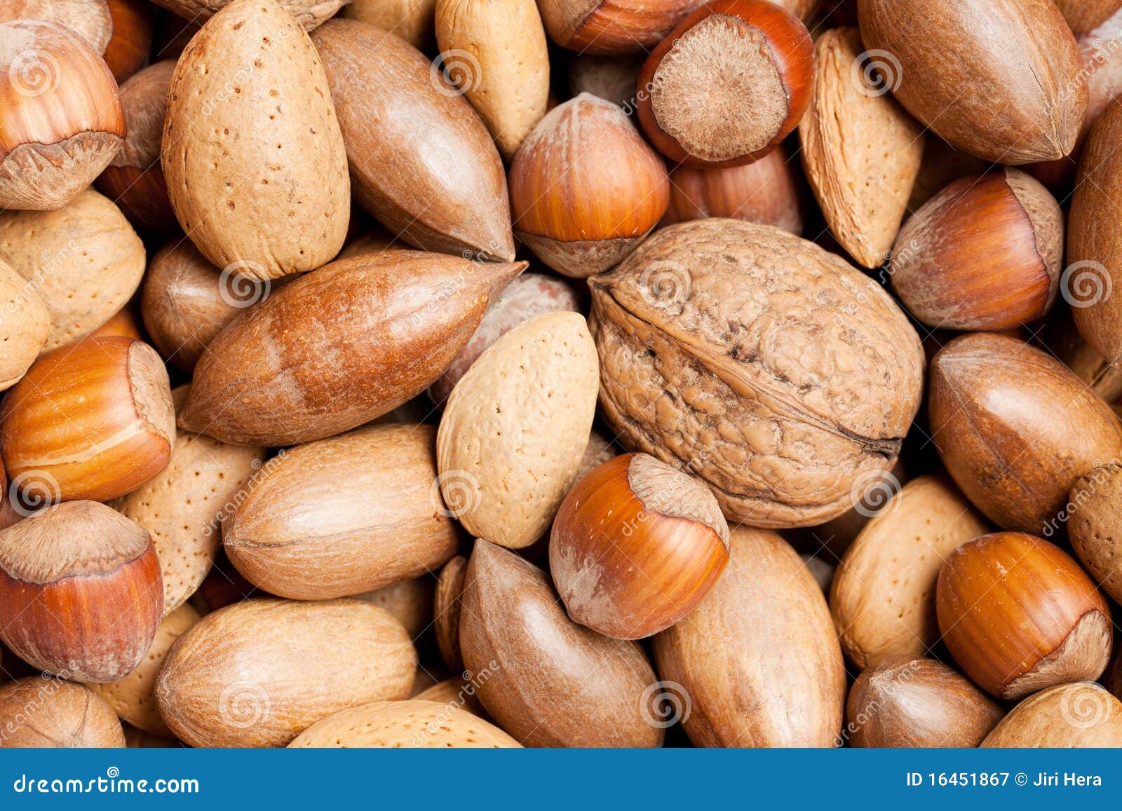 Various nuts stock image. Image of closeup, kernel, fresh 16451867