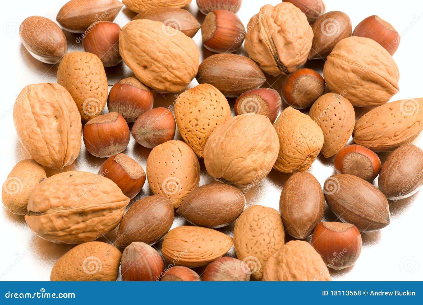 Various nuts stock photo. Image of shell, edible, kernel 18113568