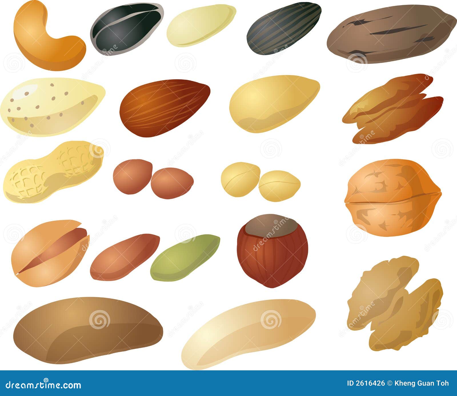 Nuts Seeds Stock Illustrations – 8,205 Nuts Seeds Stock Illustrations,  Vectors & Clipart - Dreamstime