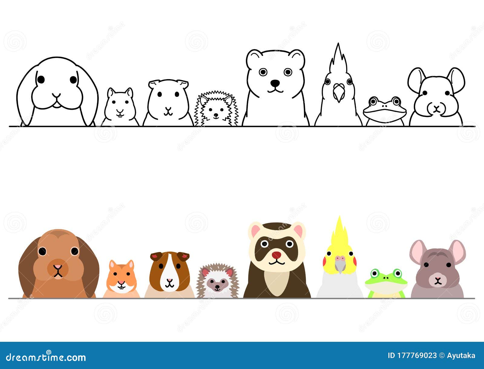 Various Pet Animals in a Row Stock Vector - Illustration of body, frog: 177769023 Various Pet Animals in a Row Stock Vector - Illustration of body, frog: 177769023