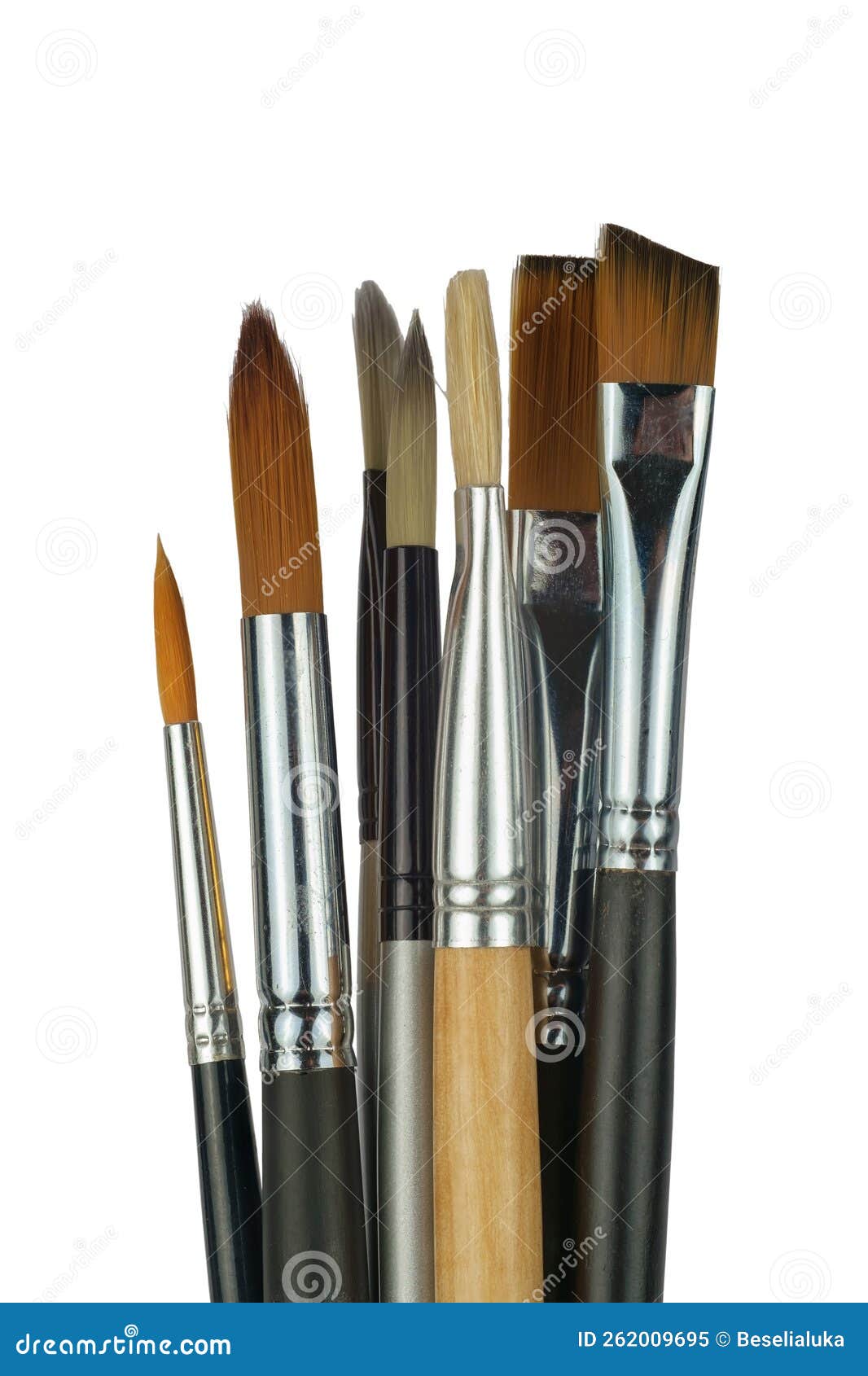 Various Professional Paint Brushes Stock Image - Image of brush