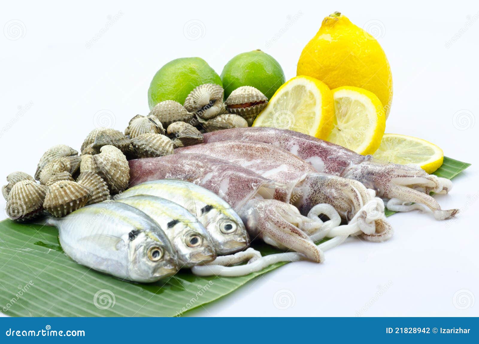 Various raw seafood stock photo. Image of ingredient 21828942