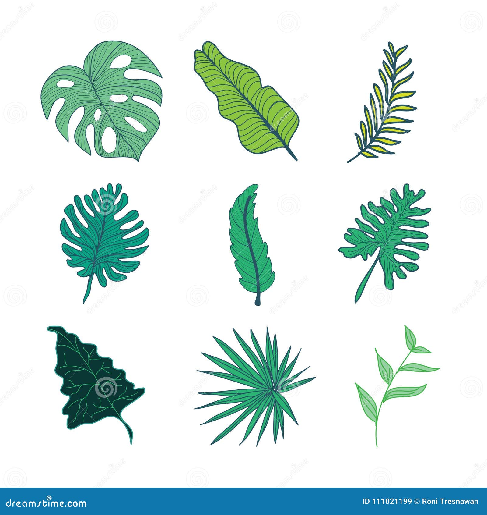 Various Type of Tropical Leaves Hand Drawn Illustration Asset Set Stock ...