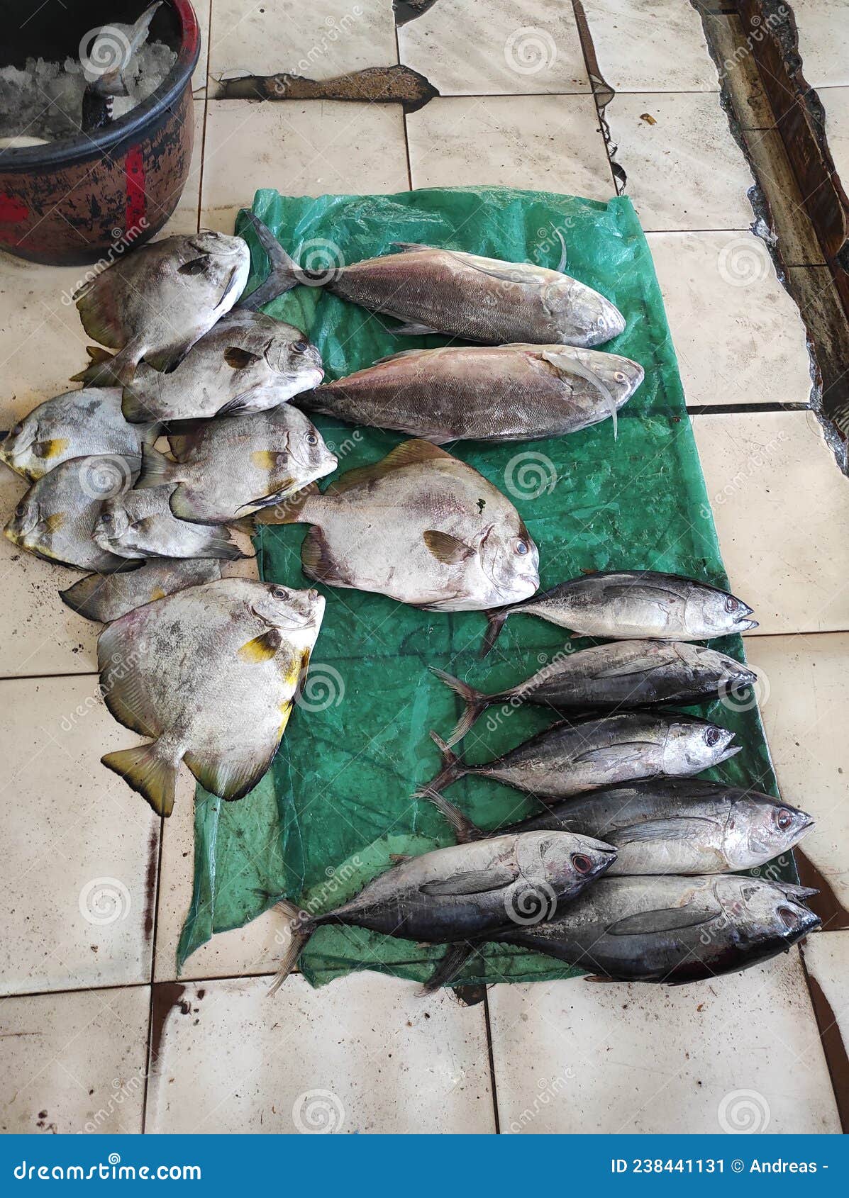 Various Types of Marine Fish Sold in Traditional Markets Stock Image