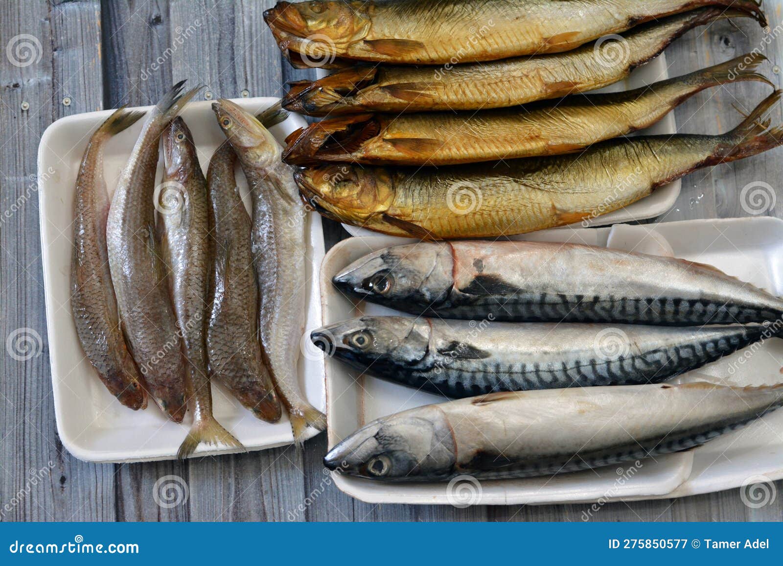 various types of raw fishes of mackerel fish, saurida undosquamis, the brushtooth lizardfish, large-scale grinner or largescale