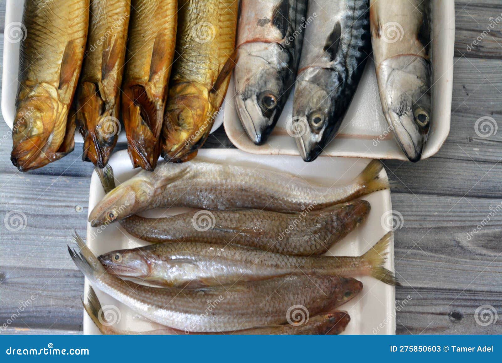 various types of raw fishes of mackerel fish, saurida undosquamis, the brushtooth lizardfish, large-scale grinner or largescale