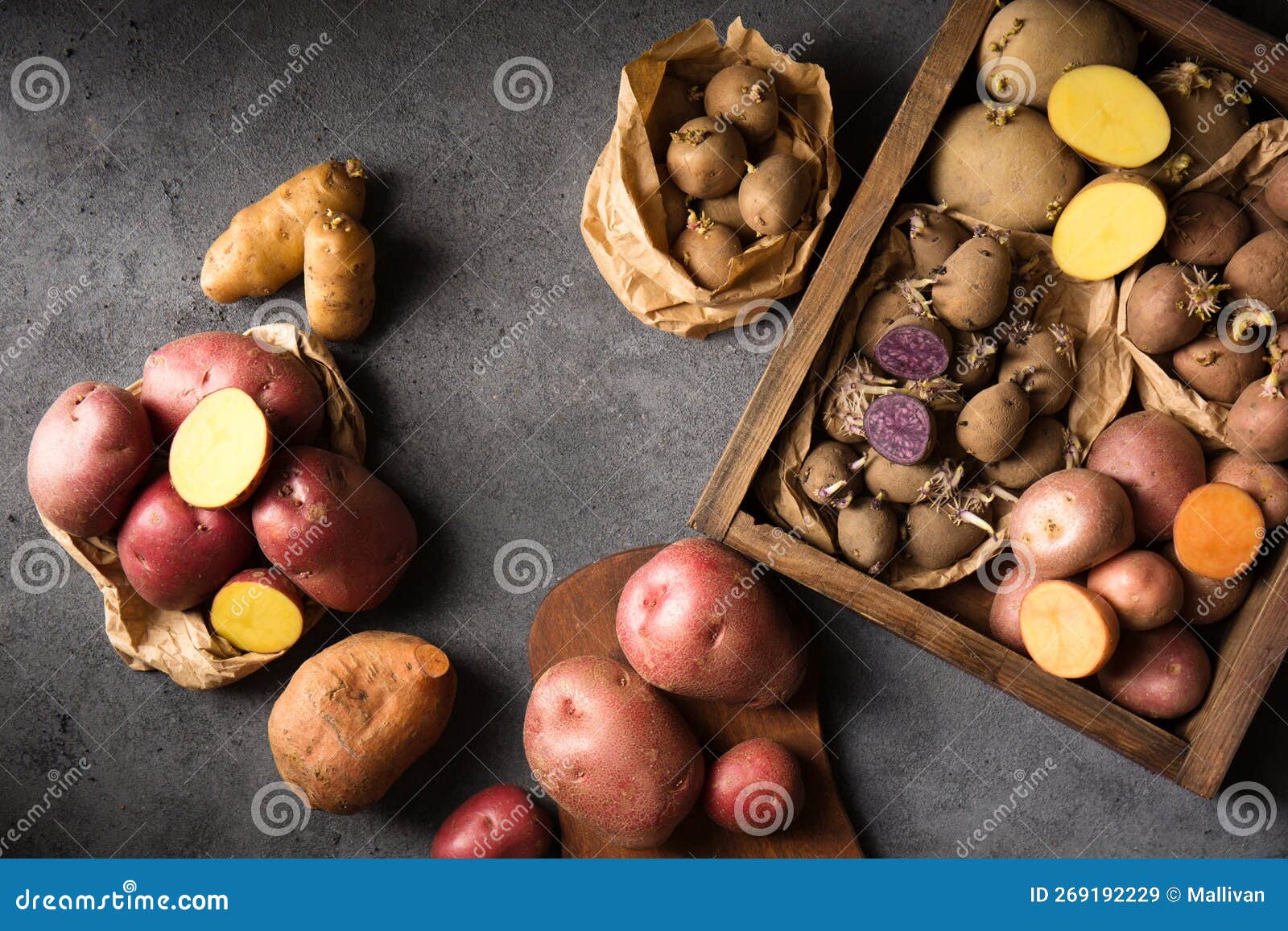 Various Varieties of Potatoes. Germination of Sprouts on Potatoes for