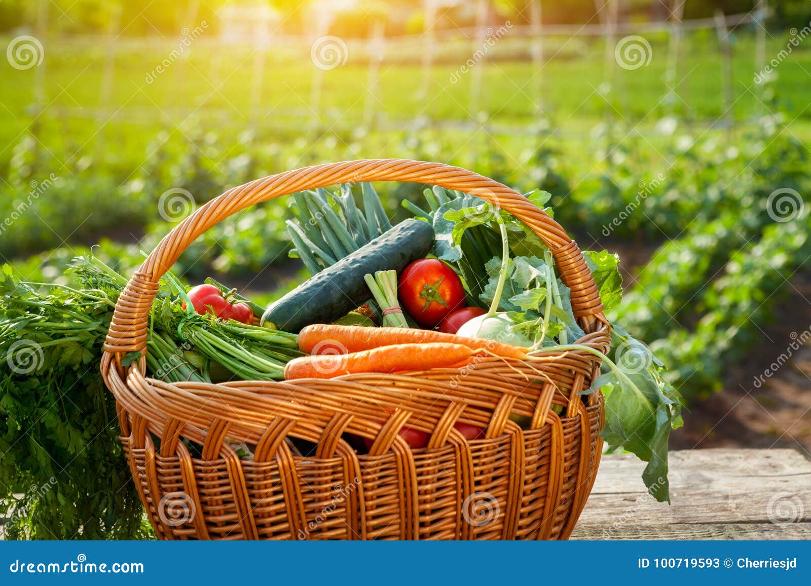 Various Vegetables in Wicker Basket Stock Image Image of harvest