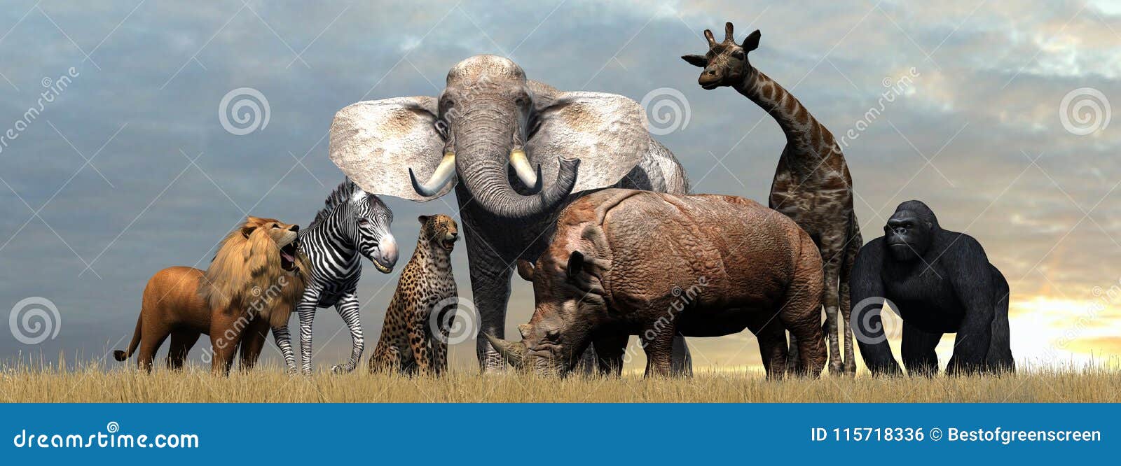 Various Wild Animals of Africa Stock Illustration - Illustration of animal,  wildlife: 115718336