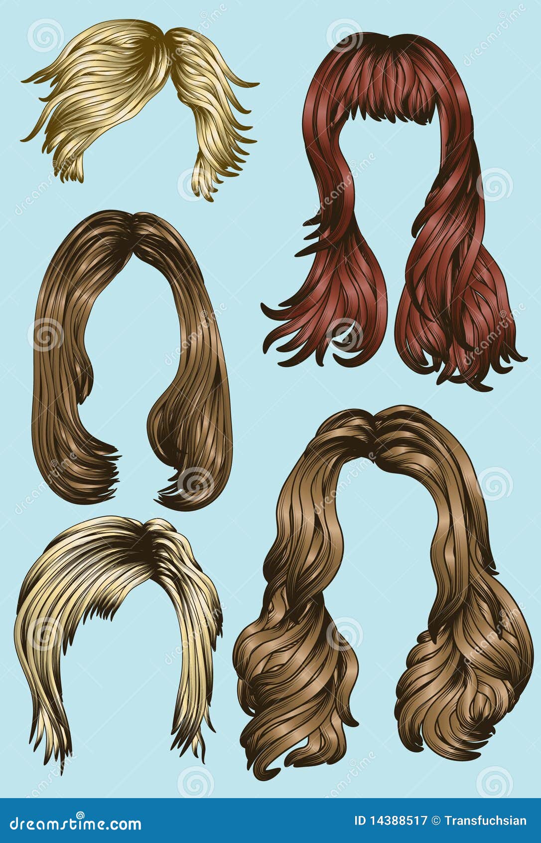 Various Hair Styles Stock Illustration - Download Image Now - Bangs - Hair,  Beauty, Hairstyle - iStock