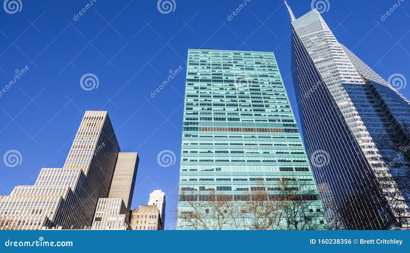 different types of licenses nyc different types of licenses nyc