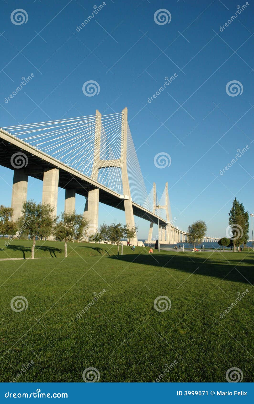 vasco da gama bridge