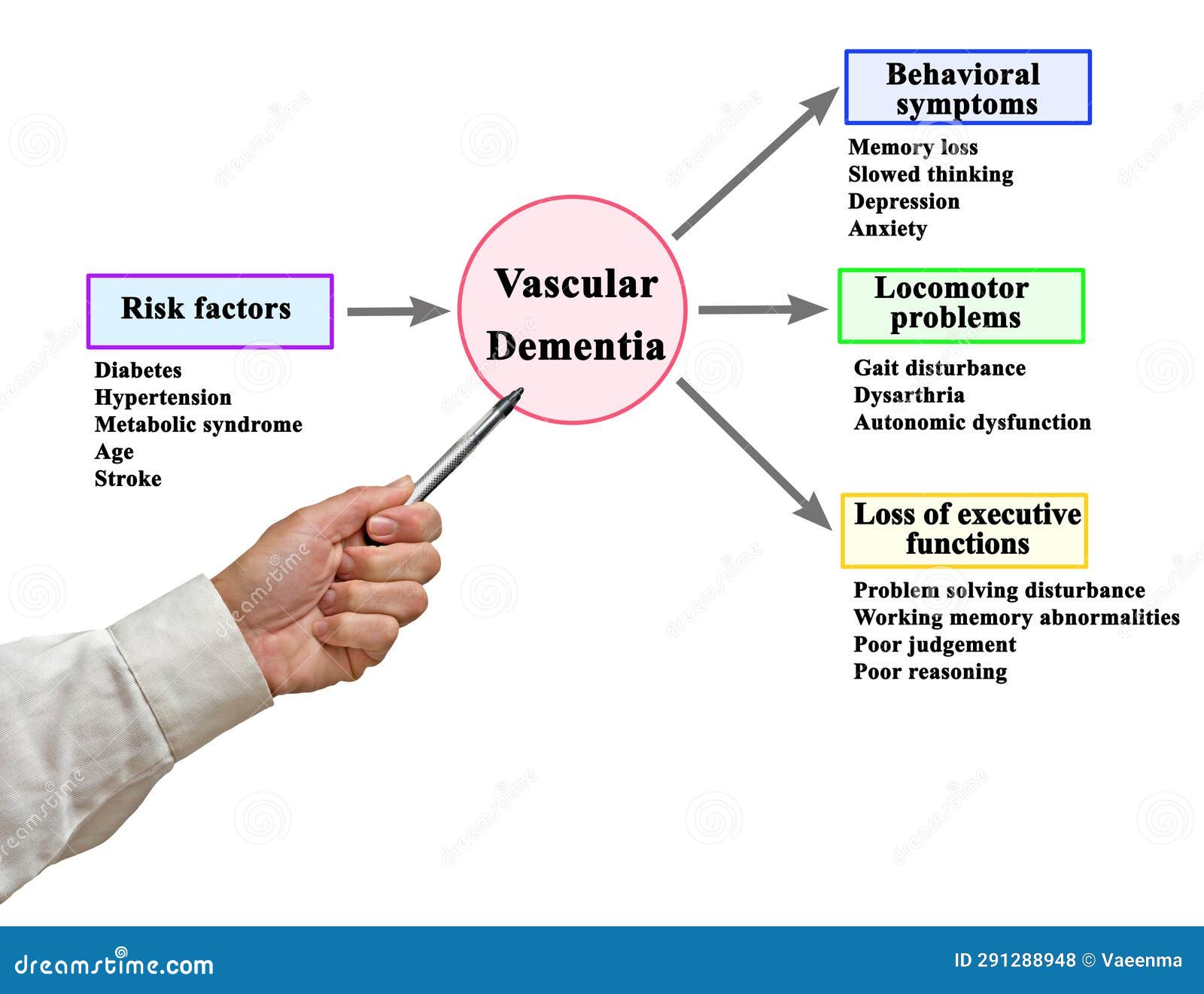 Vascular Dementia stock photo. Image of doctor, dysfunction 291288948