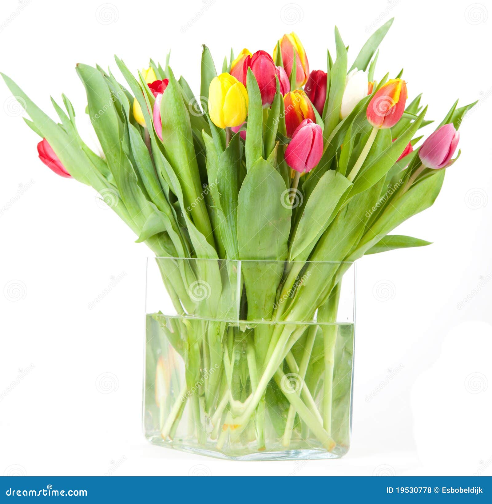 Vase à tulipe photo stock. Image du rose, vert, festif - 19530778