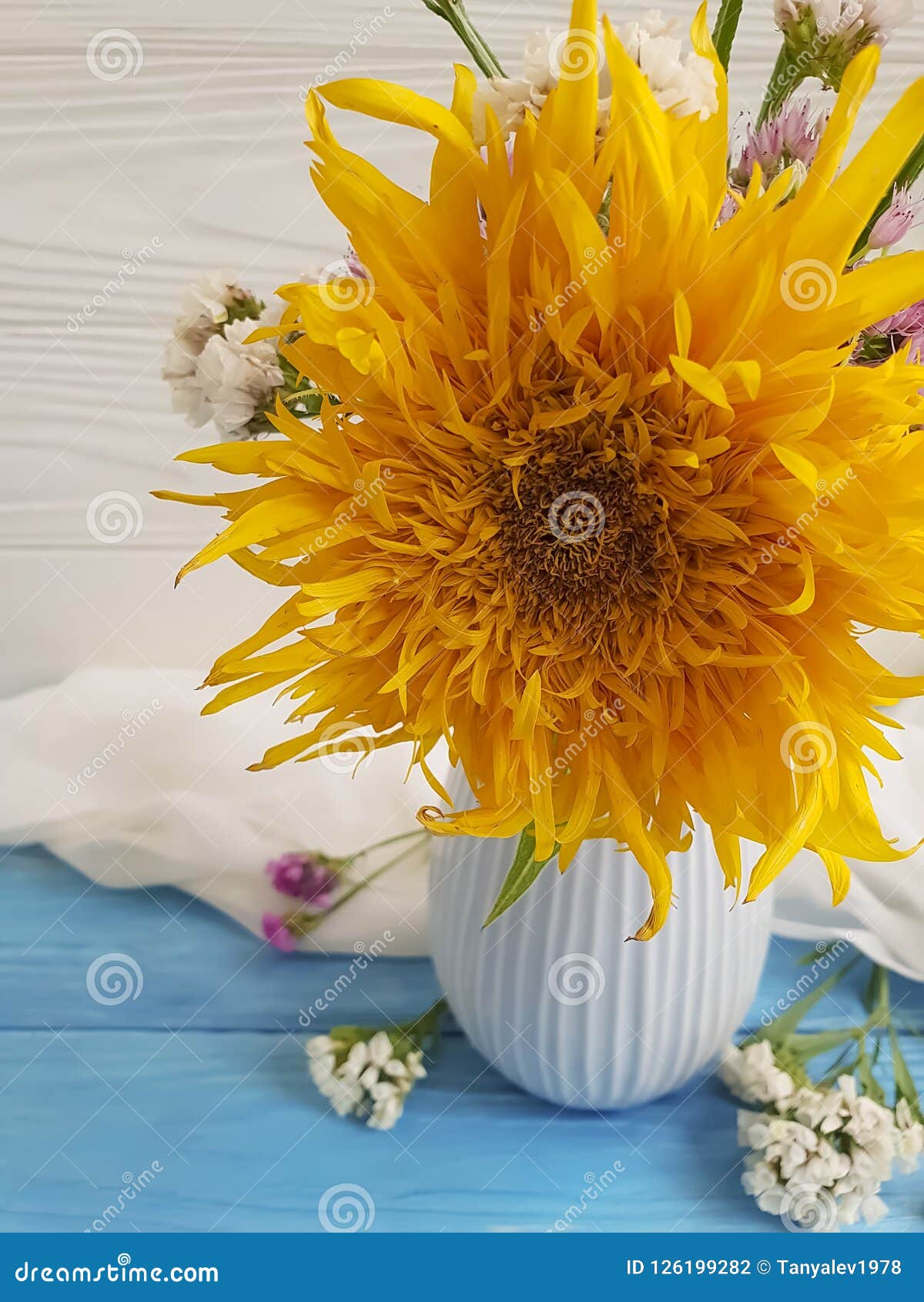 Shawl sunflower Sunflower Knit