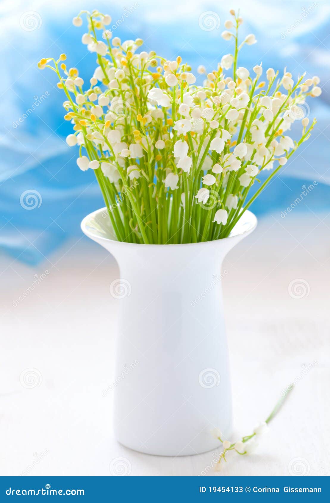 Vase avec le muguet image stock. Image du décoration 19454133