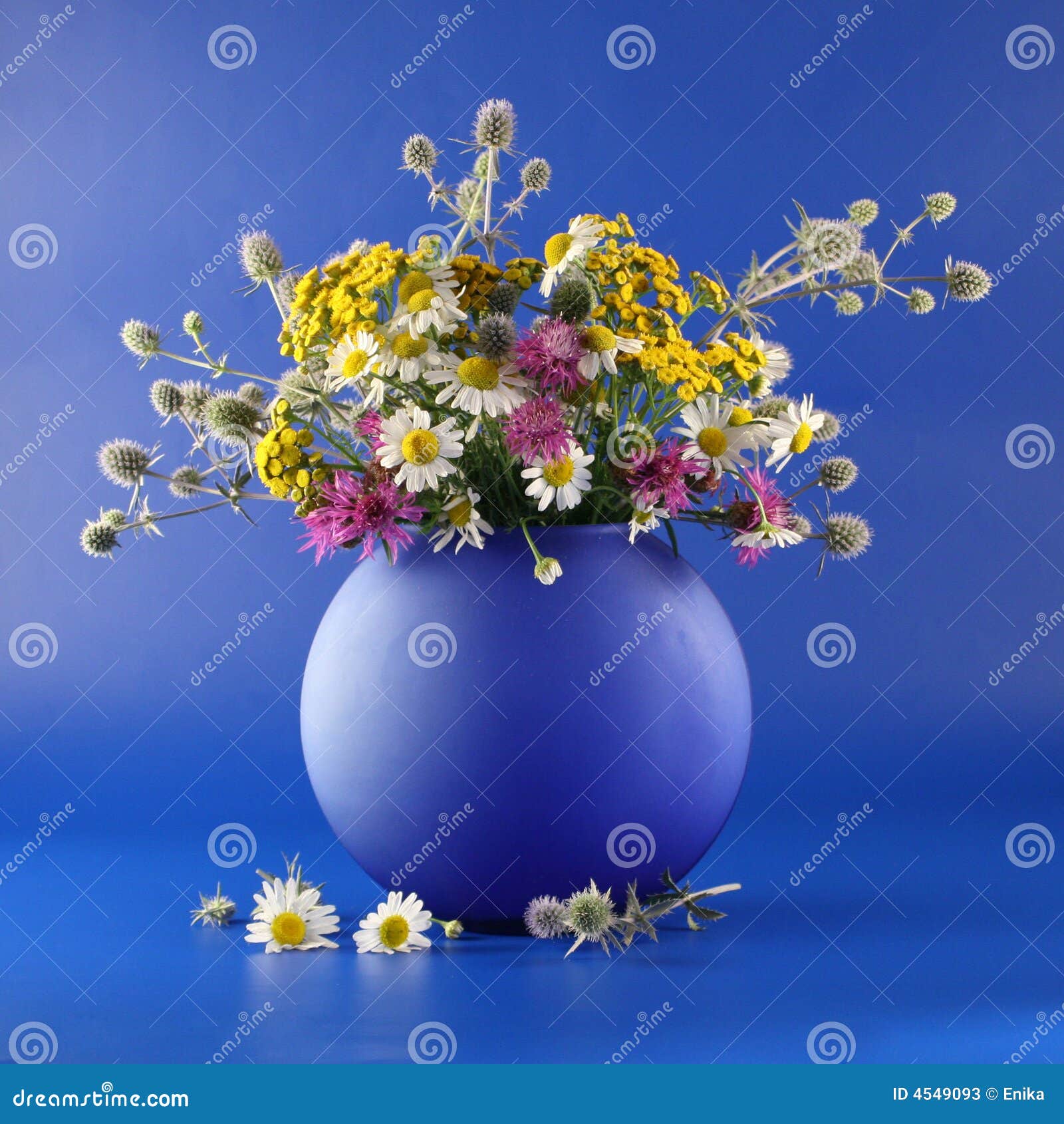 Vase with bouquet stock image. Image of camomile, blue 4549093