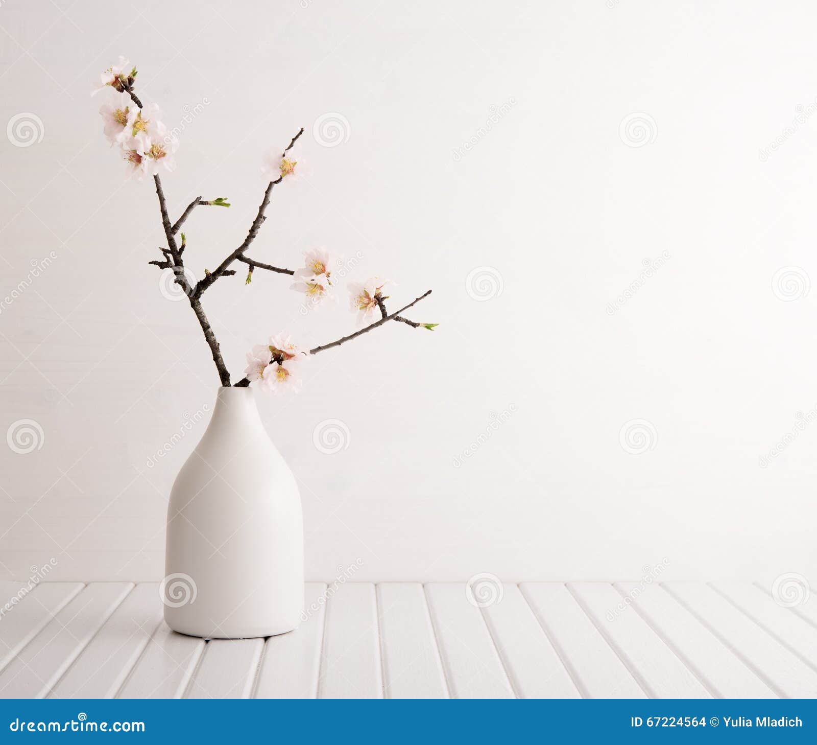Vase with cherry blossom stock photo. Image of petal 67224564