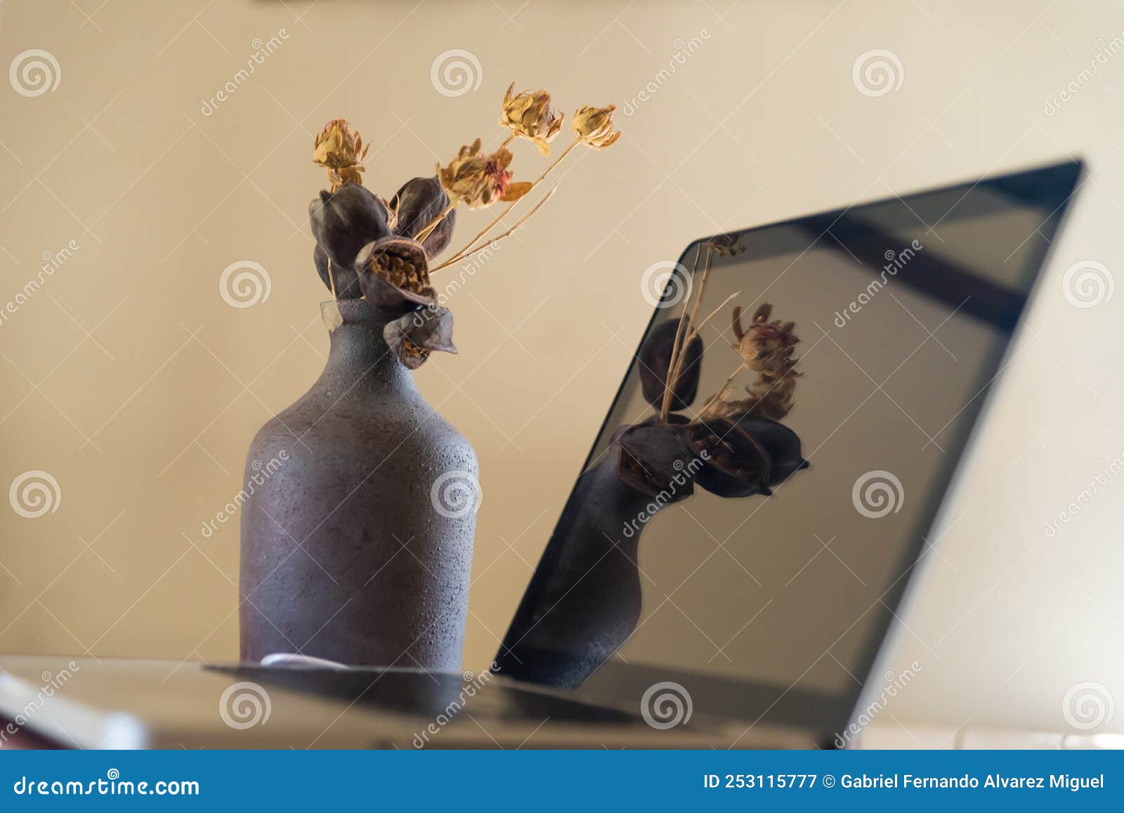 vase with dried flowers in front of a mirror