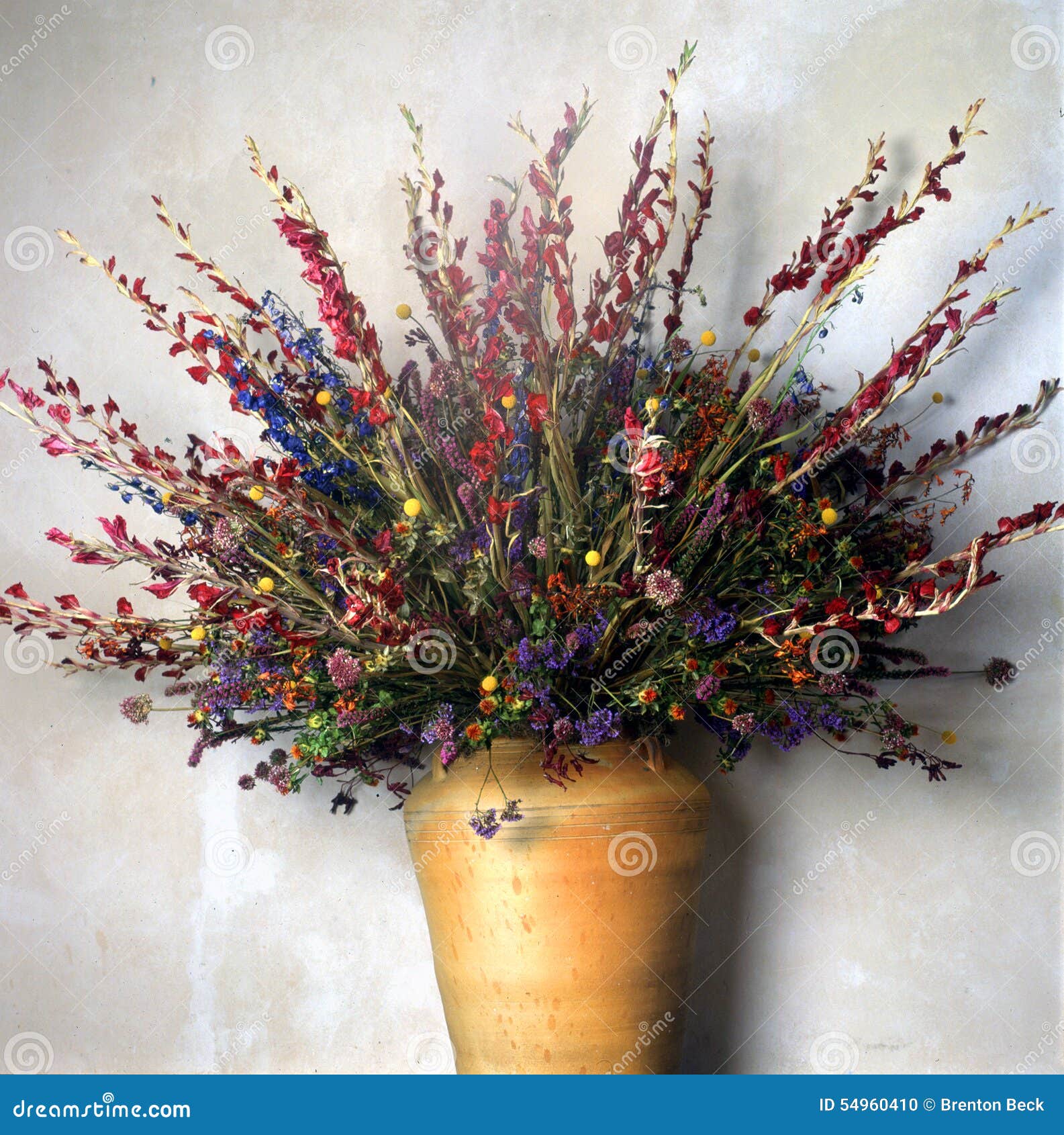 A vase of dried flowers stock photo. Image of dried, flowers 54960410