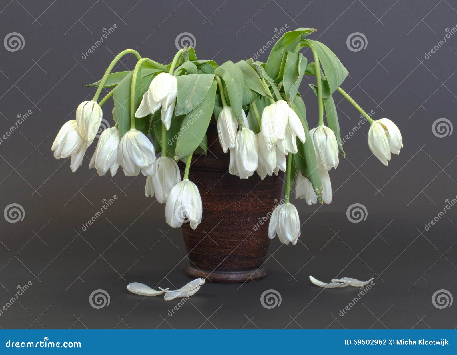 Vase Full of Droopy and Dead Flowers Stock Photo Image of brown, vase