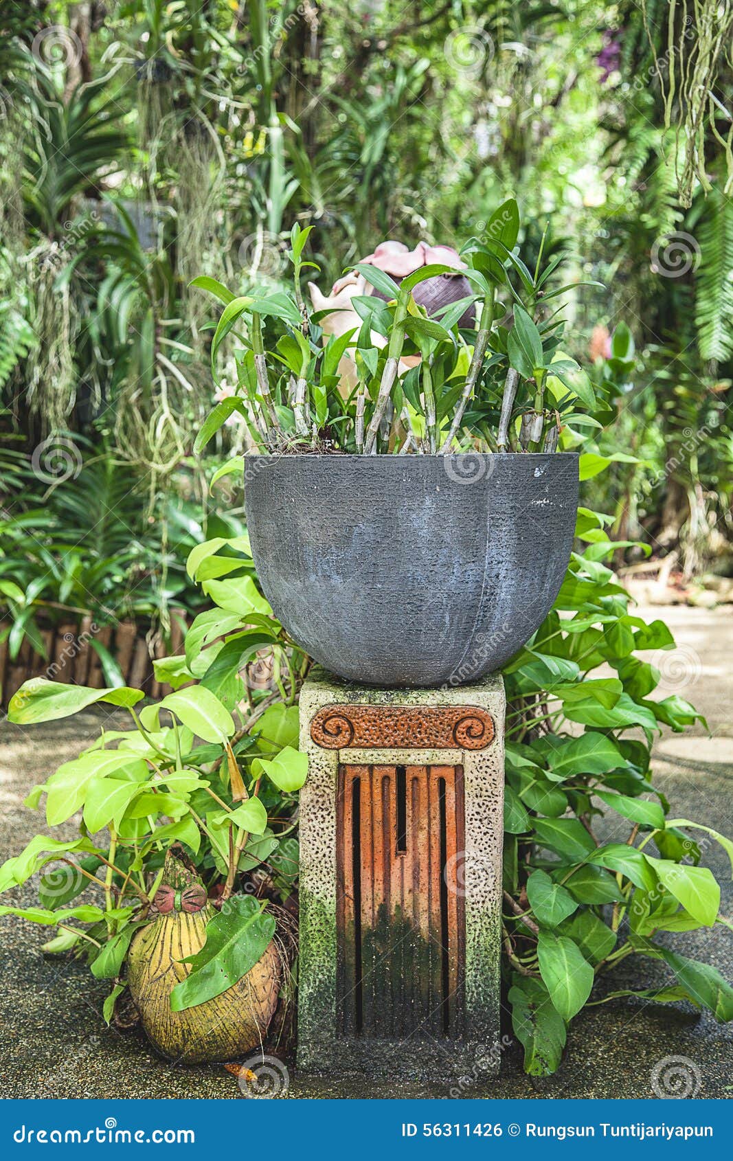 Vase in the garden stock photo. Image of monument, vase 56311426