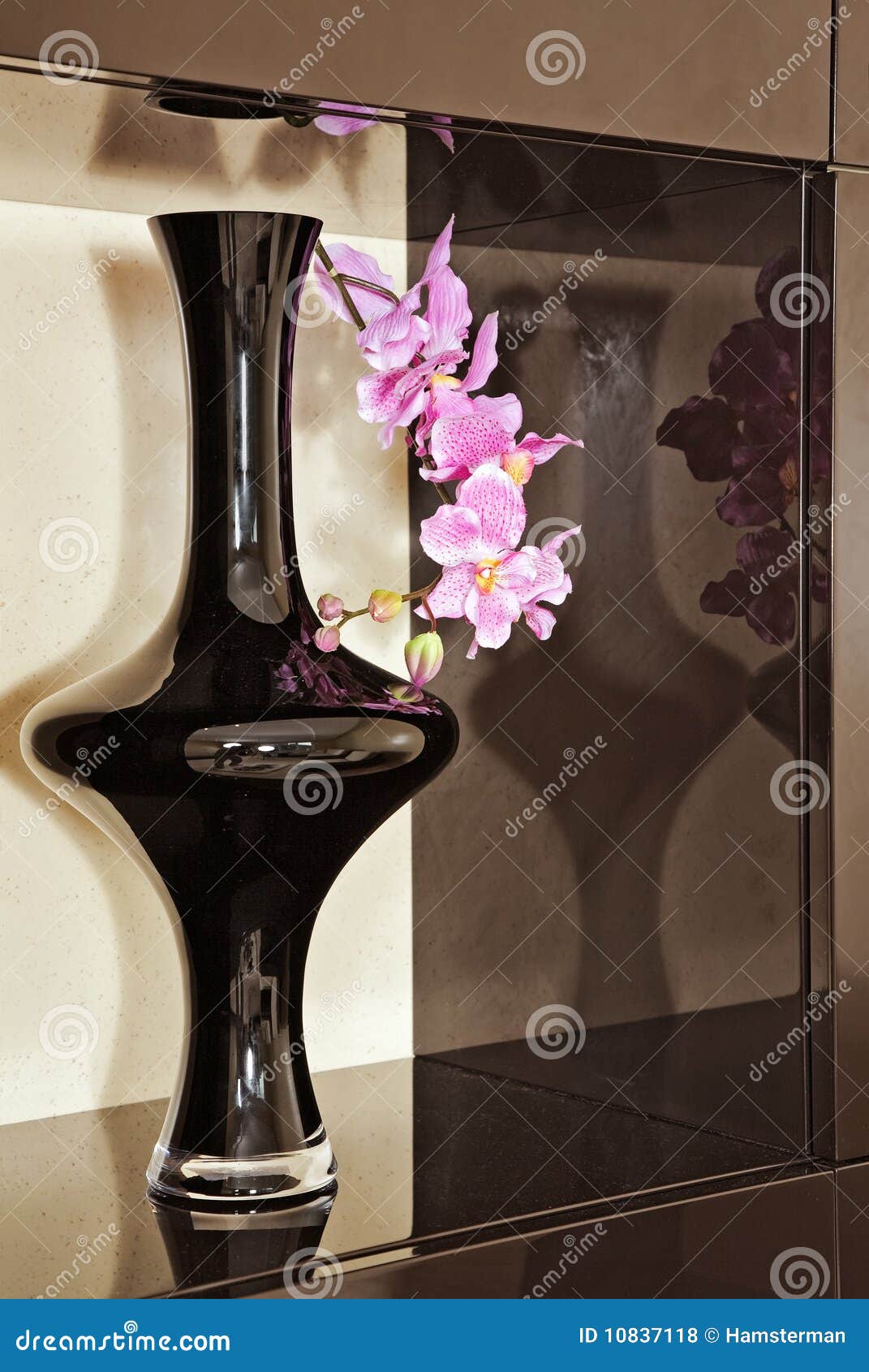 Vase with Orchid Flower in Brown Niche Stock Photo Image of pink