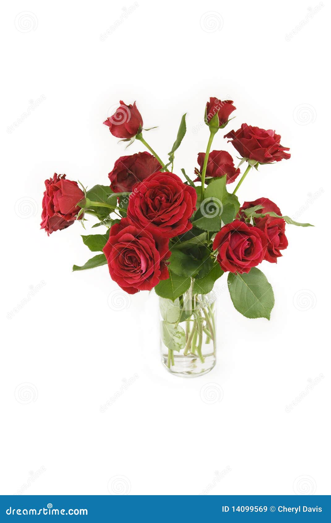 Vase of Red Roses stock image. Image of blossom, colorful 14099569