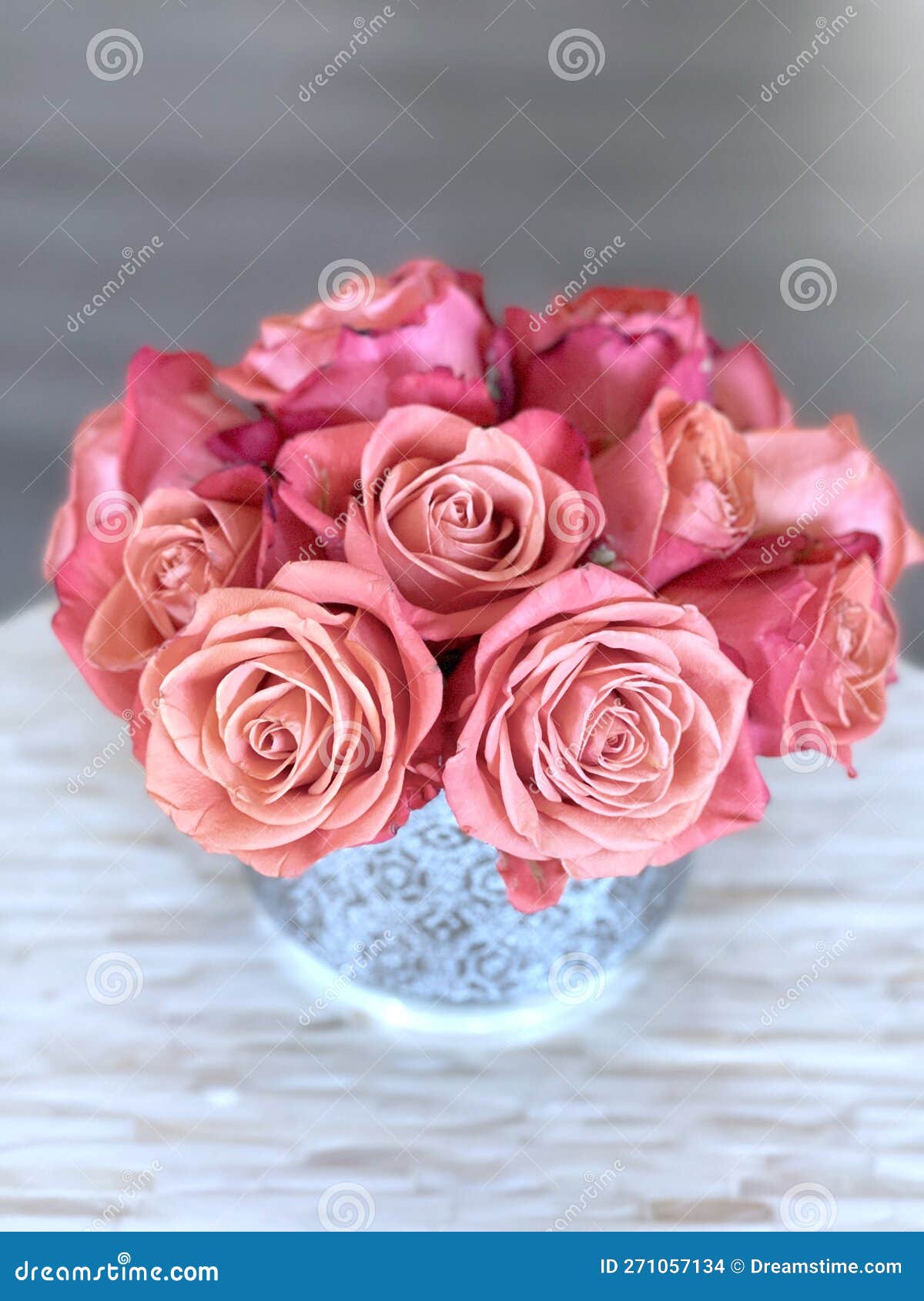 Vase of rose flowers stock photo. Image of rosaceae 271057134