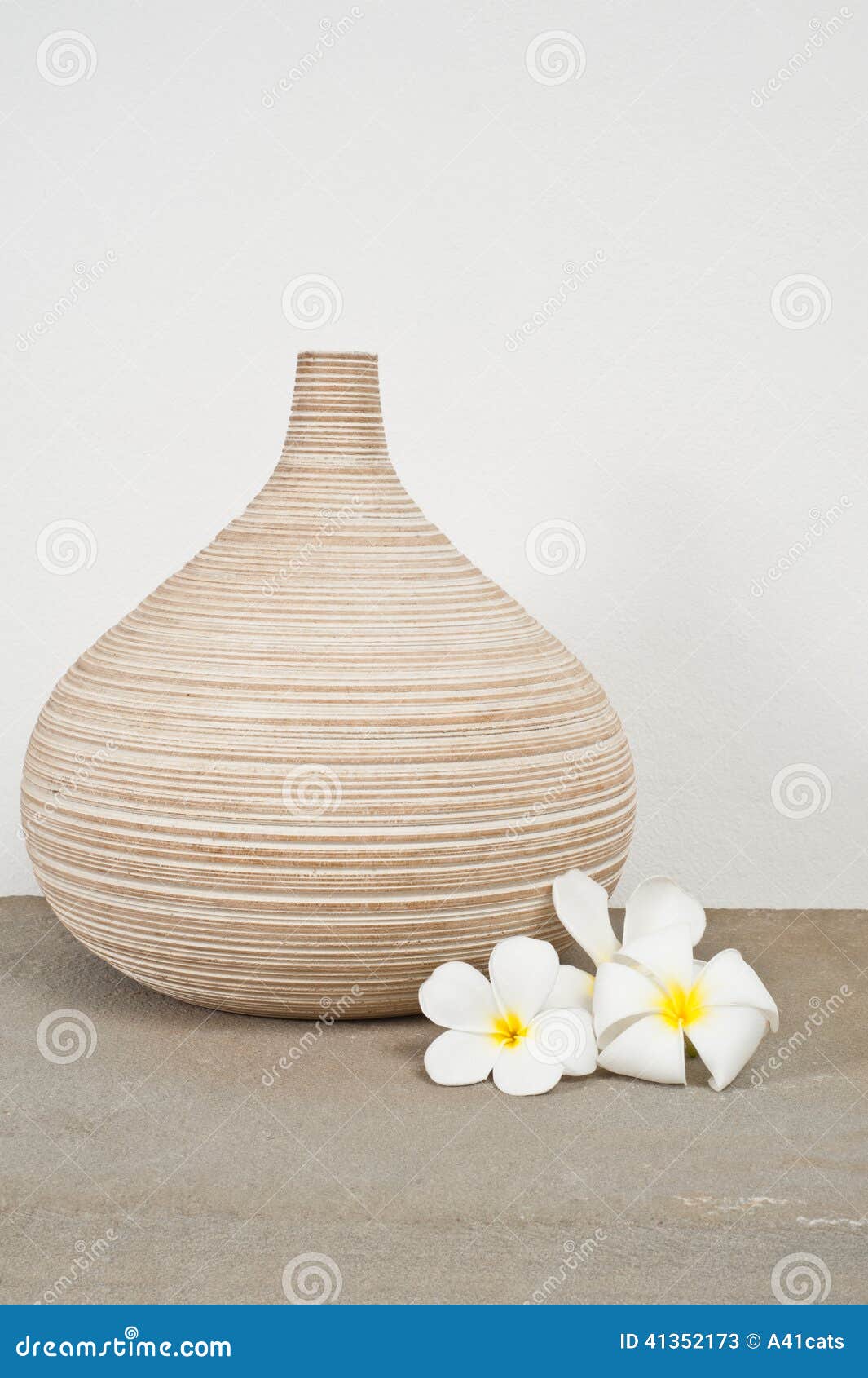 Vases Decorated with Frangipani Flower Stock Image Image of flower