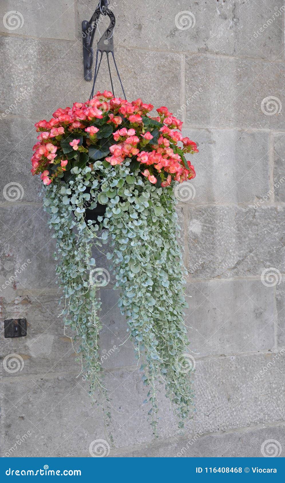 Vaso De Flores Que Pendura Em Uma Parede De Pedra De Rue Saint Paul Do  Centro Ville De Montreal Em Canadá Foto de Stock - Imagem de folhas,  frescor: 116408468