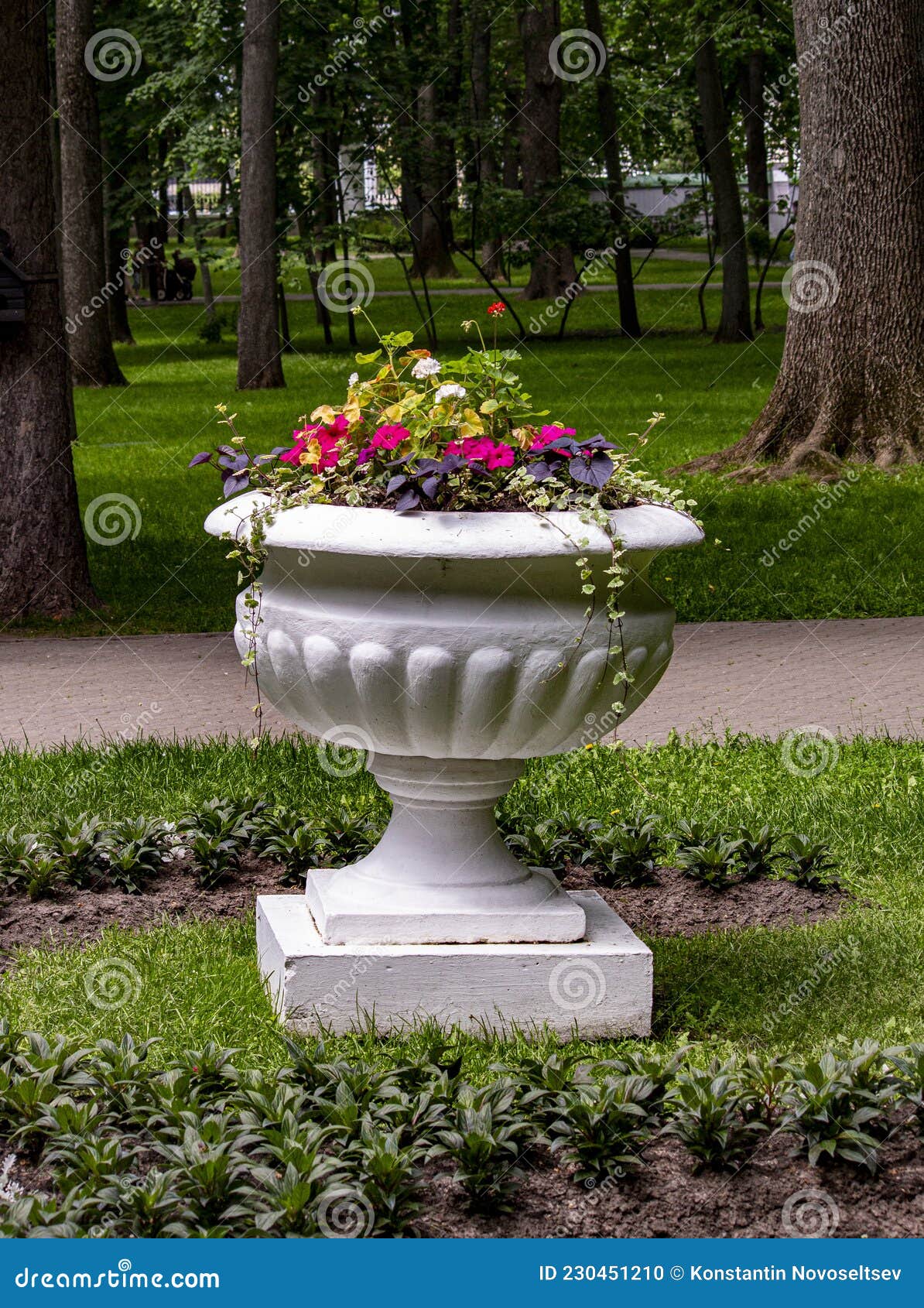 the flowerpot with flowers in the park