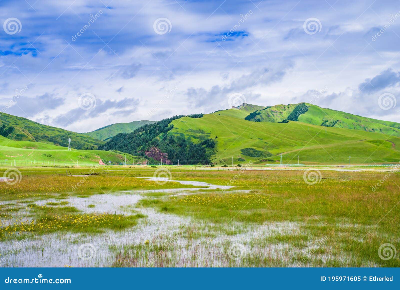 scenery of ruoergai grassland in early autumn