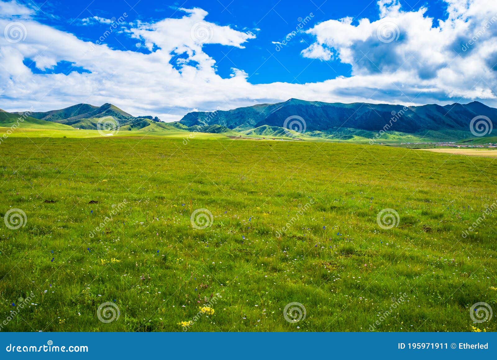 scenery of ruoergai grassland in early autumn