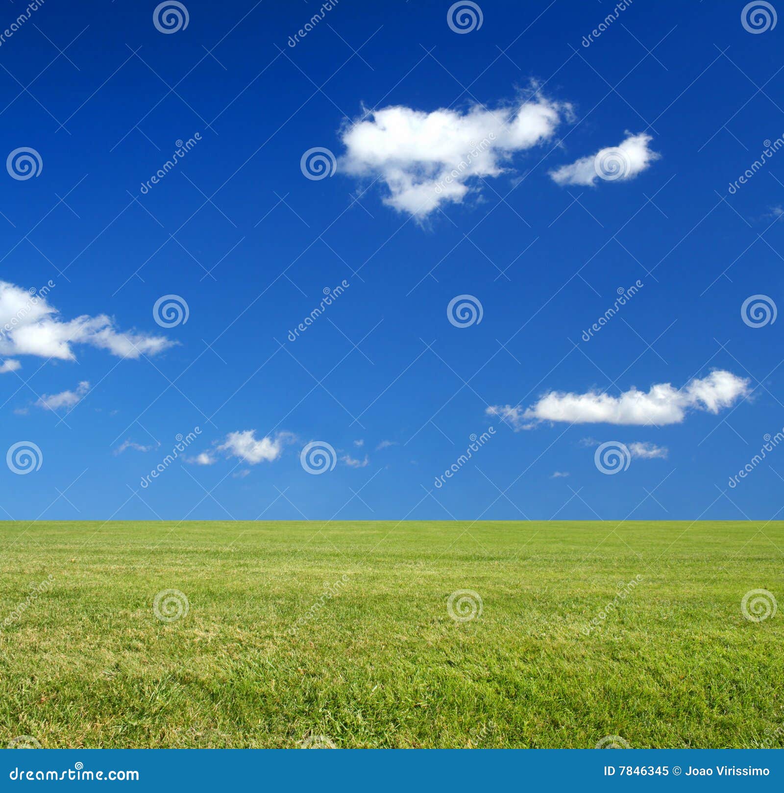 vast green grass field and blue sky eco-friendly c
