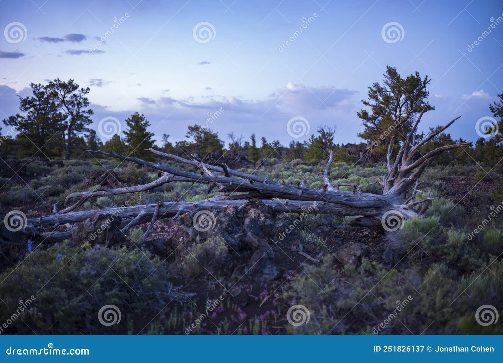 Vast Landscape of Craters of the Moon National Monument and Preserve 