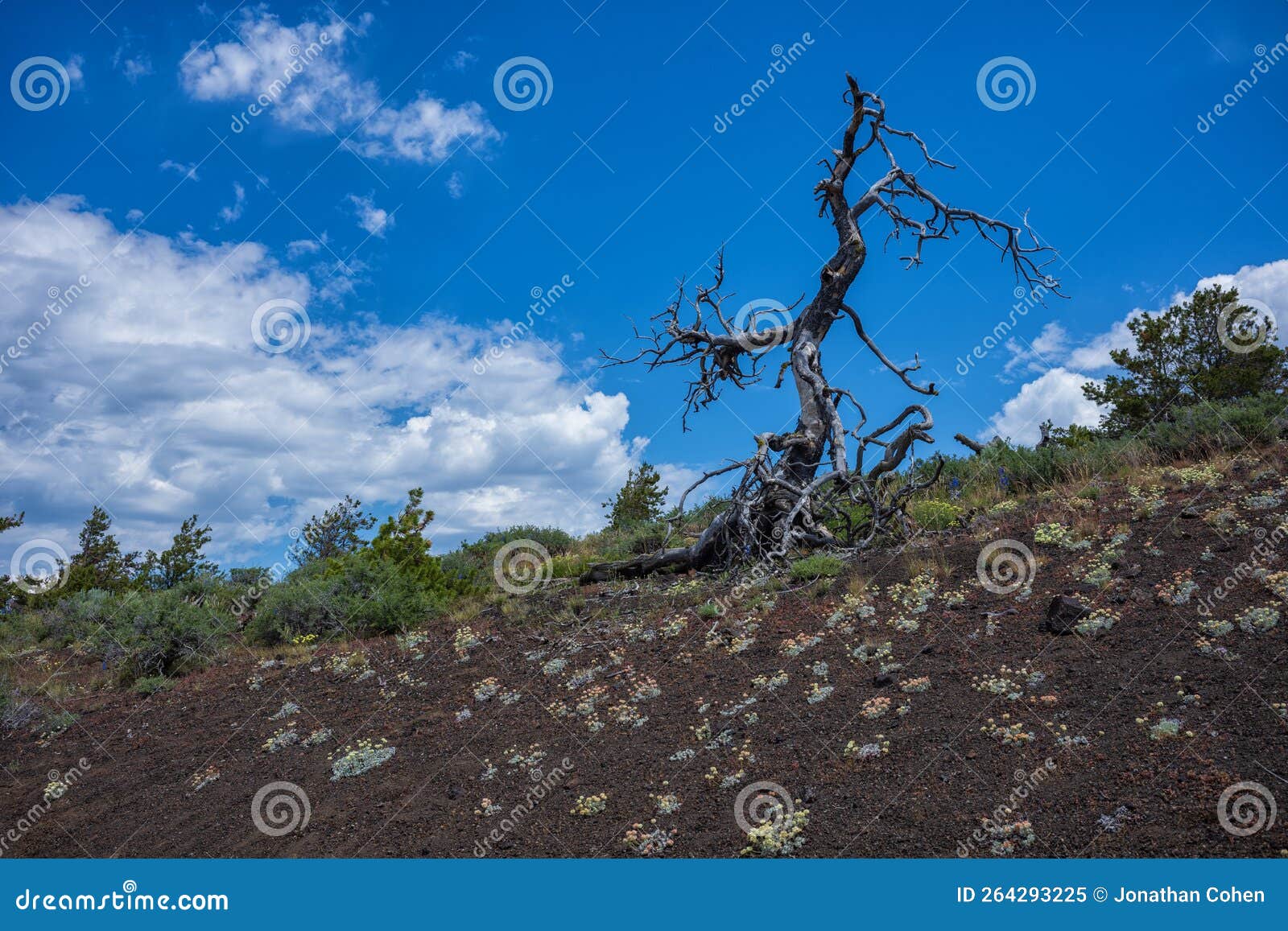 Vast Landscape of Craters of the Moon National Monument and Preserve 