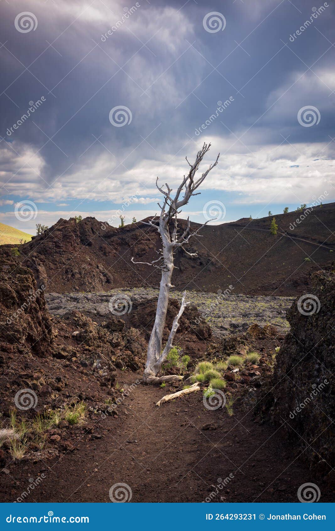 Vast Landscape of Craters of the Moon National Monument and Preserve 
