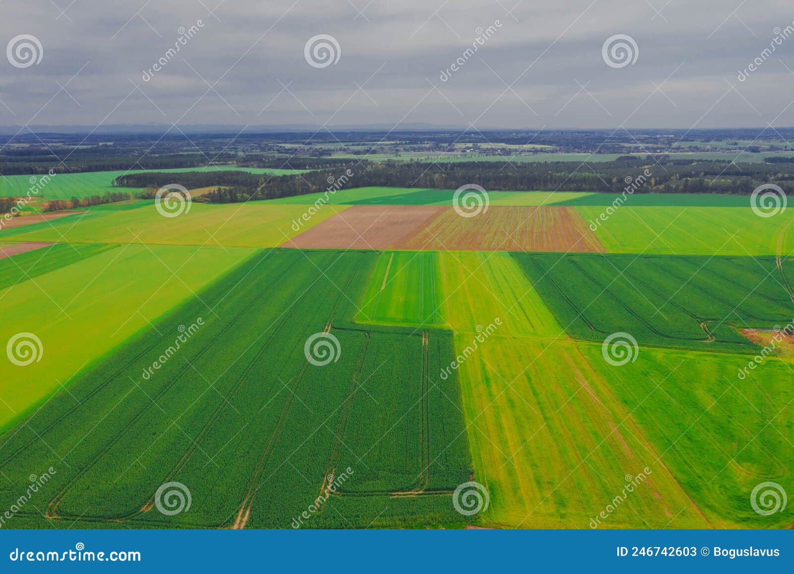 Vast Plain Seen from a Great Height. Photo from the Drone. Stock Image ...